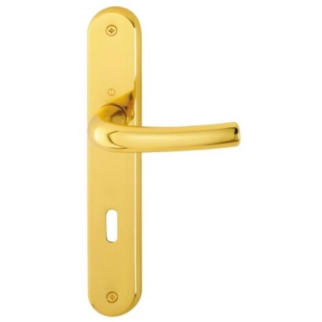 Ensemble sur plaque 234 x 41 mm en laiton poli - TOKYO bec-de-cane - HOPPE (1/2)