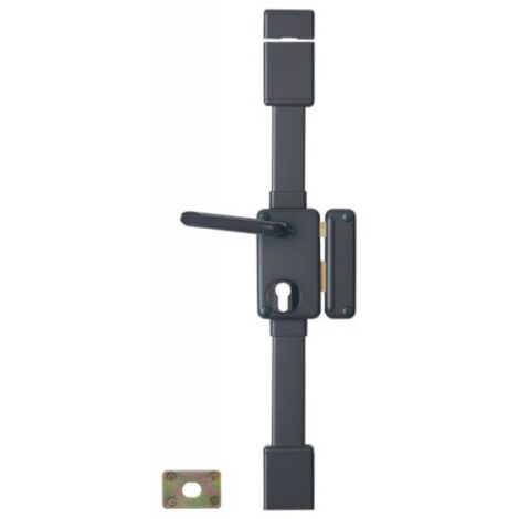 Thirard – Serrure multipoint en applique type Horga verticale à fouillot gauche poussant – Coffre 130x75mm – Axe 45mm – Type cylindre européen (1/3)
