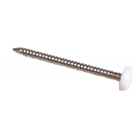 Pointes annelées Inox A4 tête plate surmoulée de PVC blanc Ø 2 mm longueur 40 mm B250 - DON QUICHOTTE
