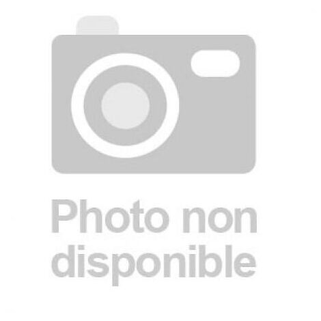 Agrafes pour agrafeuses T50 BPN, marteau agrafeur H50P, agrafeuse sur batterie et agrafeuse cloueuse électrique ETFX50 - T50 - L - ARROW