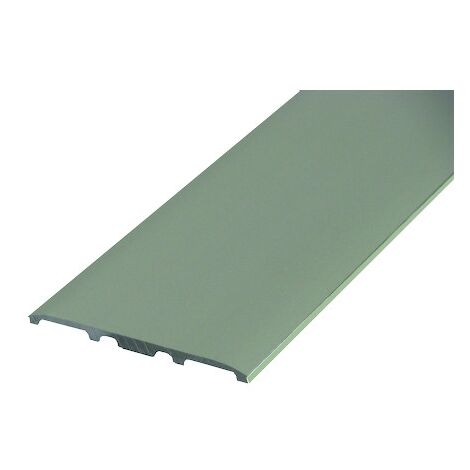Dinac – Couvre-joint de sol adhésif en aluminium anodisé – Largeur 60 mm – Longueur 3 m – Résistant au trafic intense - 01XX11