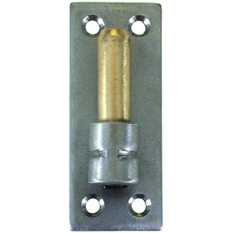 GOND S/PLAQUE INOX 316 D14 40X4X100 AXE LAITON