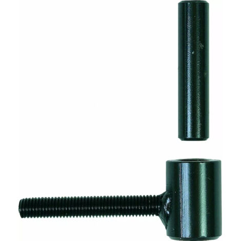 80 Gonds de volet Standard D. 10 x 80 mm - Clav. D.12 x 60 mm - Simple volet - Noir