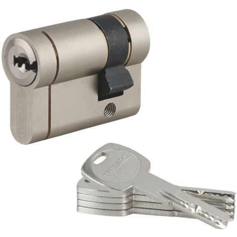 THIRARD - Demi cylindre de serrure Transit 1 UNIKEY (achetez-en plusieurs, ouvrez avec la même clé), 40x10mm, 5 clés, nickelé - THIRARD