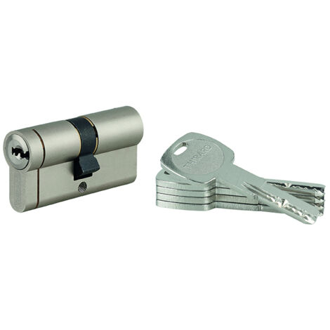THIRARD - Cylindre double entrée Transit 1 UNIKEY (achetez-en plusieurs, ouvrez avec la même clé), 30x30mm, 5 clés, nickelé - THIRARD
