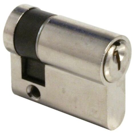 Cylindre TE5 60 x 10 indexable. laiton nickelé. varié - TESA SA