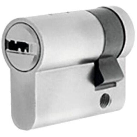 Demi cylindre T80-P à panneton indexable profil protégé 4 clés réversibles et carte de propriété 30 x 10 - TESA SA (1/2)