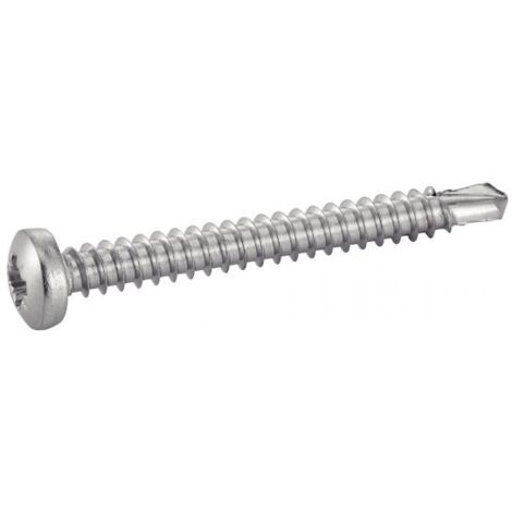 ACTON - 100 Vis autoperçeuses tête cylindrique phillips 4.8X50 Acier zingué blanc - 7504M 4.8X50.8I (1/3)