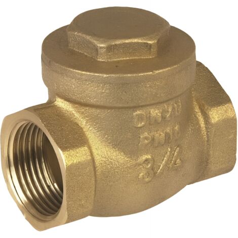 Clapet de retenue a battant 1"