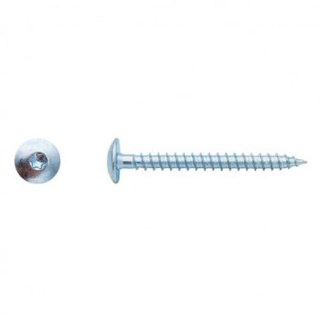 Vis pour penture Torx® Zingué - 7 x 70 mm - BIVI (1/2)