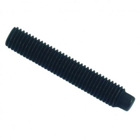 Vis sans tête à bout téton six pans creux (STHC) brut - 6 x 12 mm - BIVI (1/2)