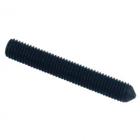 Vis sans tête à bout pointeau six pans creux (STHC) brut - 8 x 10 mm - BIVI (1/2)