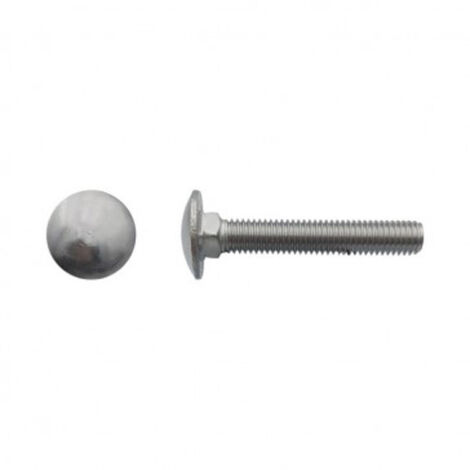 Vis tête ronde collet carré (TRCC) Inox A2 - 10 x 45 mm - BIVI (1/2)