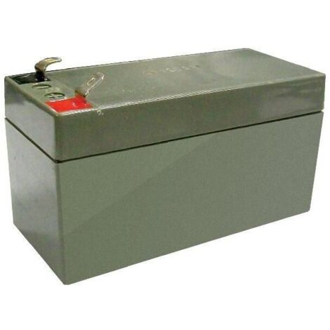 Batterie 12V 1.2AH CAME - 3199PNP1212 (1/3)
