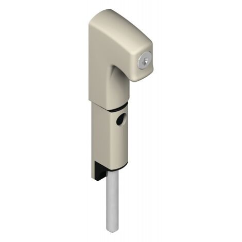 Verrou en applique DANAOS DS 6371 à tête canne avec barillet longueur 167 mm gris RAL 9006 - LA CROISEE DS (1/2)