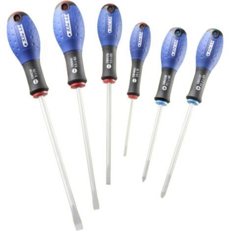 Facom – Jeu de 6 tournevis fente-Pozidriv – Pour vis à fente et Pozidriv – Manche ergonomique pour confort – Coffret de rangement inclus - E160903