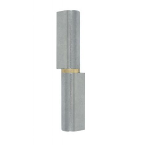 Torbel – Paumelle pour meuble à souder à bague laiton 120 mm – Axe en acier réversible – Pour portails et portes – 107