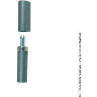 10 paumelle maroc ma butee billestd 120mm