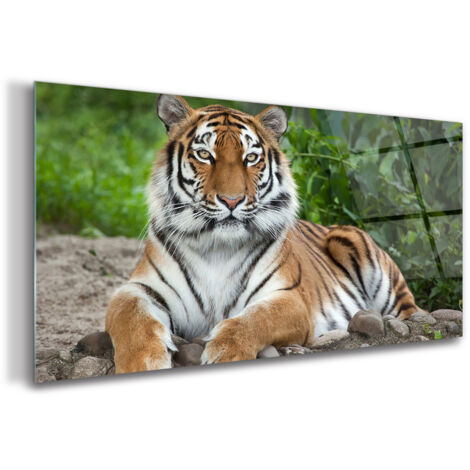 Tulup Impression Sur Verre De 100x70 Cm Image Tableau Photo Décorative Panoramique Pour La Cuisine Et Le Salon - Animaux - Tigre De Sibérie - Brun