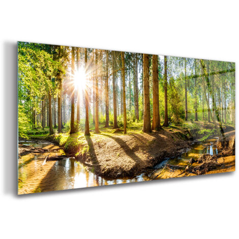 Impression sur verre Image tableaux 125x50 Art Eau Fleur