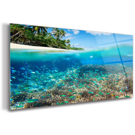 Tableau sur verre – 100 x 50 cm - Tableau mural décoratif - Verre Décorative - Récif Corallien Marin (1/5)