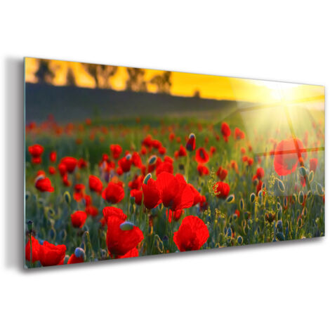 Tableau sur verre – 120 x 60 cm - Tableau mural décoratif - Verre Décorative - Coucher de Soleil Sur Un Champ (1/5)