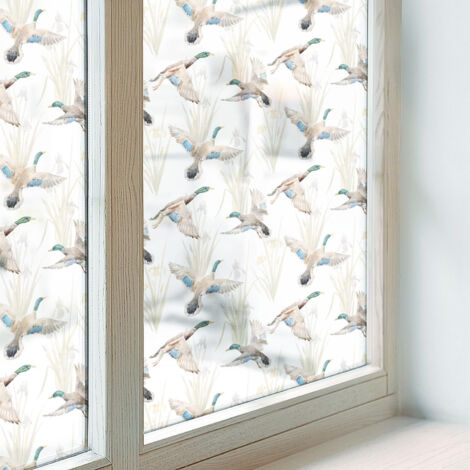Film Dépoli pour Fenêtre 100x100 Vitrail Collés sur le Verre Protection pour Chambre Cuisine Salle de Bain Adhésif Décoratif Les oiseaux et la nature (1/5)