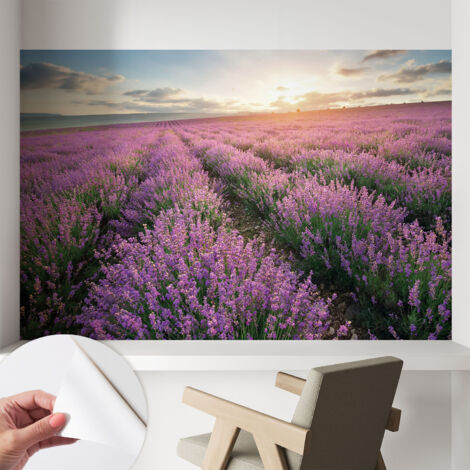 Papier peint autocollant adhésif avec imprimé installation simple qualité excellente sans désordre Champs de lavande 104x70 cm (1/5)