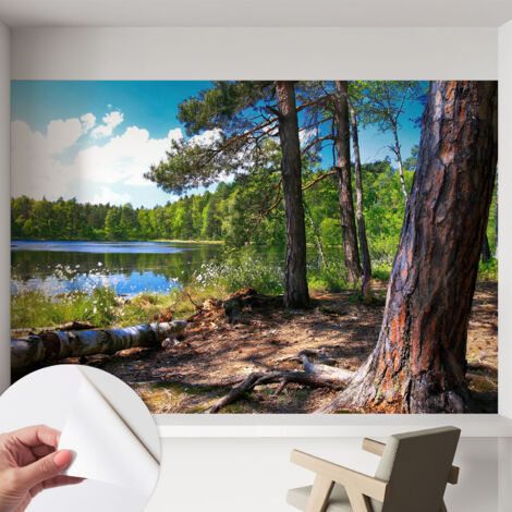 Papier peint autocollant adhésif avec motifs pour salon et chambre accessoire stylé pour votre intérieur Paysage forestier 152x104 cm (1/5)