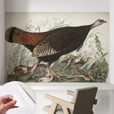 Papier peint autocollant Mural avec colle pour salon et chambre Décoration murale rapide Harmonie naturelle 104x70 cm (1/5)