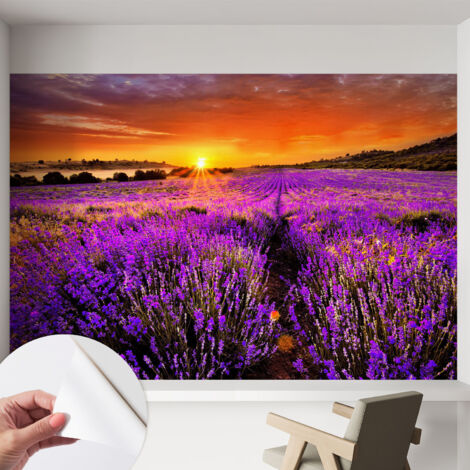 Papier peint adhésif autocollant pour salon chambre à coucher peint imprimé pour mur Coucher de soleil lavande 152x104 cm (1/5)