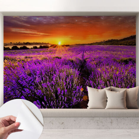 Papier peint adhésif autocollant pour salon chambre à coucher peint imprimé pour mur Coucher de soleil lavande 208x146 cm (1/5)