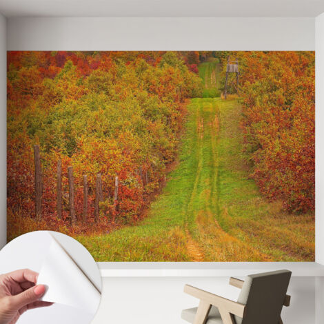 Papier peint autocollant adhésif avec motifs pour salon et chambre accessoire stylé pour votre intérieur Couleurs d'automne 152x104 cm