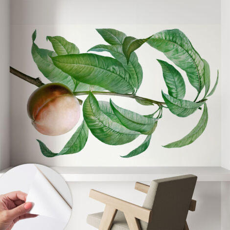 Papier peint autocollant adhésif décoratif avec motifs pour salon et chambre a motif Pêche mûre 104x70 cm (1/5)