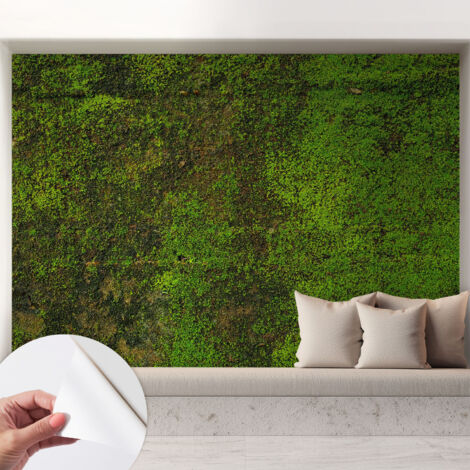 Papier peint autocollant décoratif à motifs pour salon chambre et bureau Tapete adhésif pour décoration Tapis vert 208x146 cm (1/5)