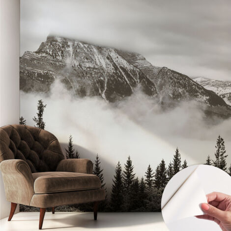 Papier peint autocollant Mural avec colle pour salon et chambre Décoration murale rapide Paysage montagneux 250x250 cm (1/5)