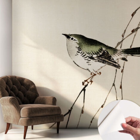 Papier peint autocollant décoratif à motifs pour salon chambre et bureau Tapete adhésif pour décoration L'oiseau harmonieux 250x250 cm (1/5)