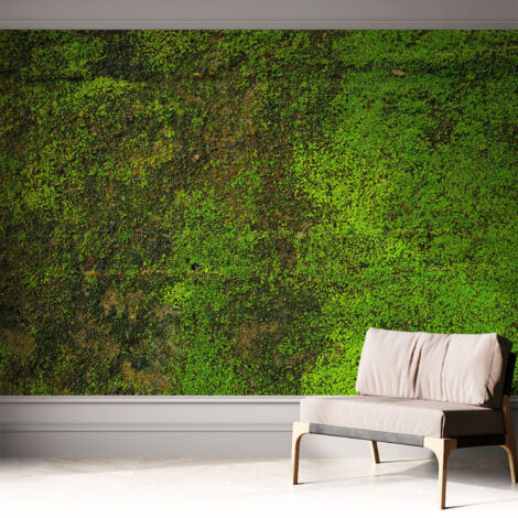 Papier peint autocollant décoratif à motifs pour salon chambre et bureau Tapete adhésif pour décoration Tapis vert 312x219 cm (1/5)