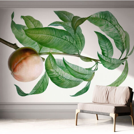 Papier peint adhésif autocollant pour salon chambre à coucher peint imprimé Installation facile Pêche mûre 312x219 cm (1/5)