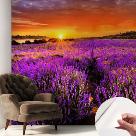Papier peint adhésif autocollant pour salon chambre à coucher peint imprimé pour mur Coucher de soleil lavande 250x250 cm (1/5)