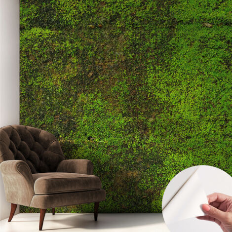 Papier peint autocollant décoratif à motifs pour salon chambre et bureau Tapete adhésif pour décoration Tapis vert 250x250 cm (1/5)