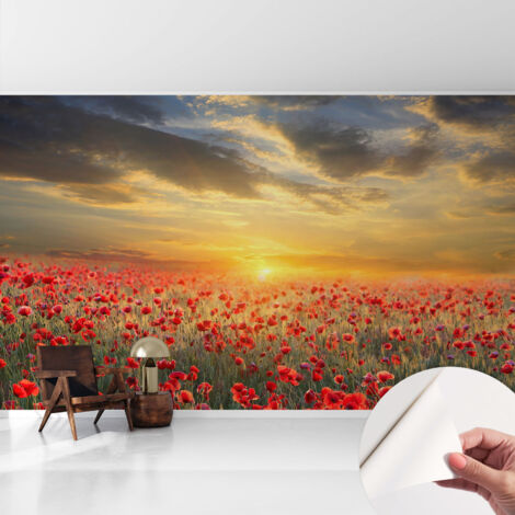 Papier peint autocollant Mural avec colle pour salon et chambre Décoration murale rapide Champ de pavots 416x254 cm