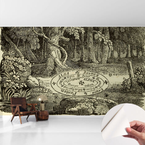 Papier peint adhésif autocollant pour salon chambre à coucher peint imprimé pour mur Cercle magique 416x254 cm (1/5)