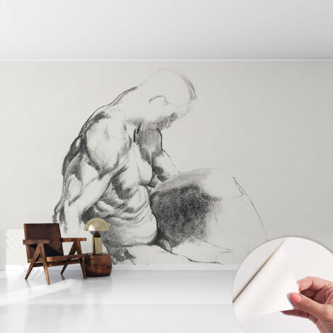 Papier peint autocollant adhésif avec imprimé installation simple qualité excellente sans désordre Esquisse masculine 416x254 cm