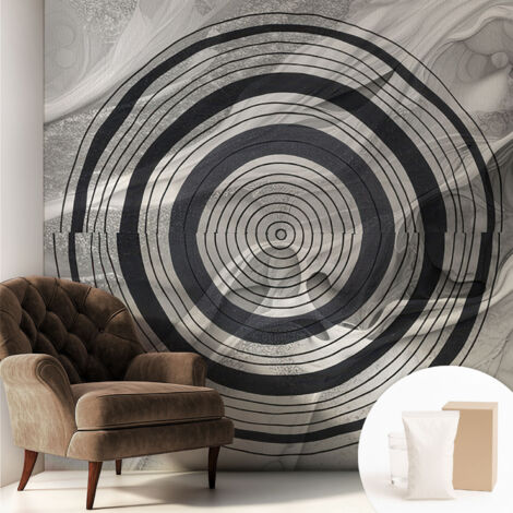 Papier peint intissé mural classique avec imprimé motifs décoratifs design élégant non‑tissé Cercles gris 250x250 cm (1/5)