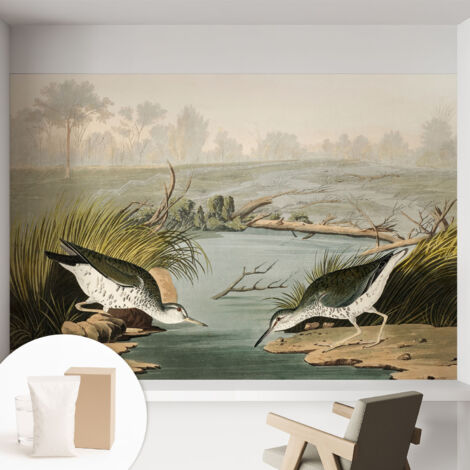 Papier peint intissé mural avec imprimé motifs décoratifs - style contemporain - Colle incluse gratuite Paysage paisible 152x104 cm (1/5)