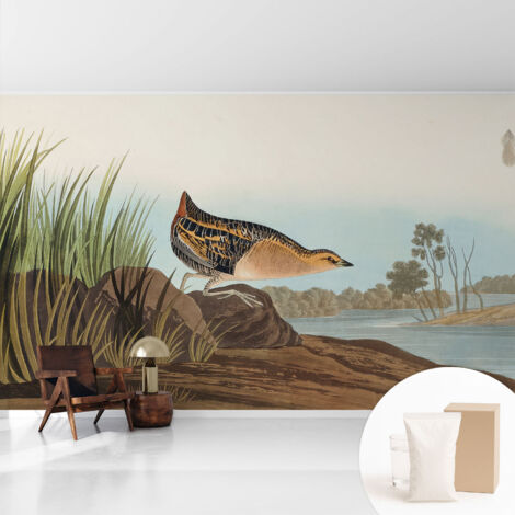 Papier peint intissé pour salon chambre à coucher peint imprimé Installation facile - Colle incluse gratuite Scène naturelle 416x254 cm (1/5)