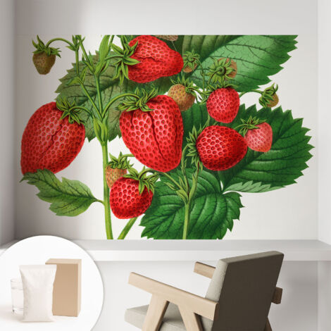 Papier peint intissé avec imprimé pour décoration intérieure pour rénovation a motif - Colle incluse gratuite Fruits d'été 104x70 cm (1/5)