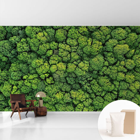 Papier peint intissé pour salon chambre à coucher peint imprimé Installation facile - Colle incluse gratuite Panorama forestier 416x254 cm (1/5)