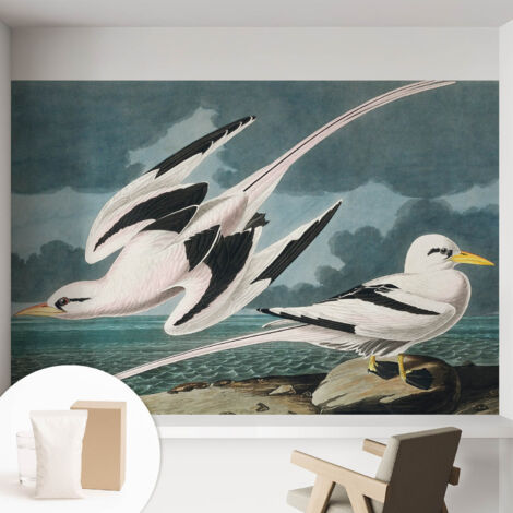 Papier peint intissé mural avec imprimé motifs décoratifs - style contemporain - Colle incluse gratuite Oiseaux au bord de la mer 152x104 cm (1/5)